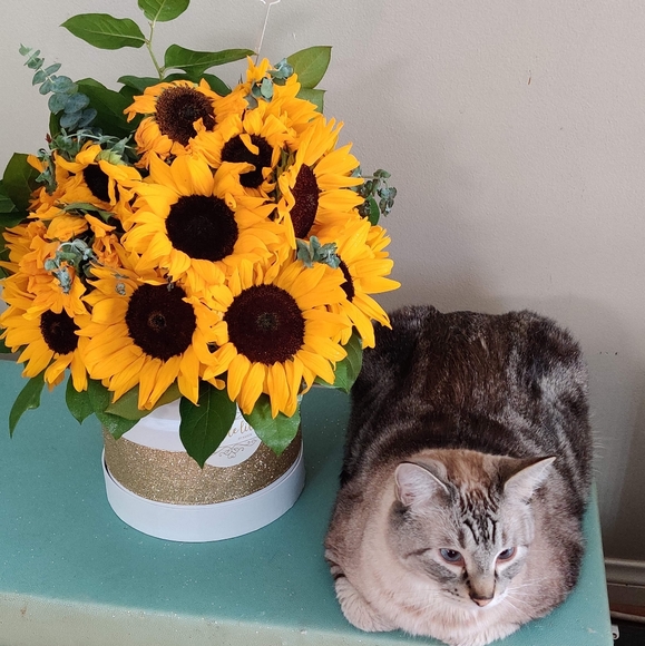 Meet your Posher, Maggie - Picture 14 of 16
